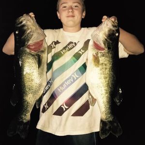 Meet your Posher, Ben